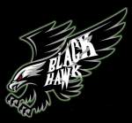 Black Hawk Logo