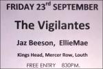 The Vigilantes Poster
